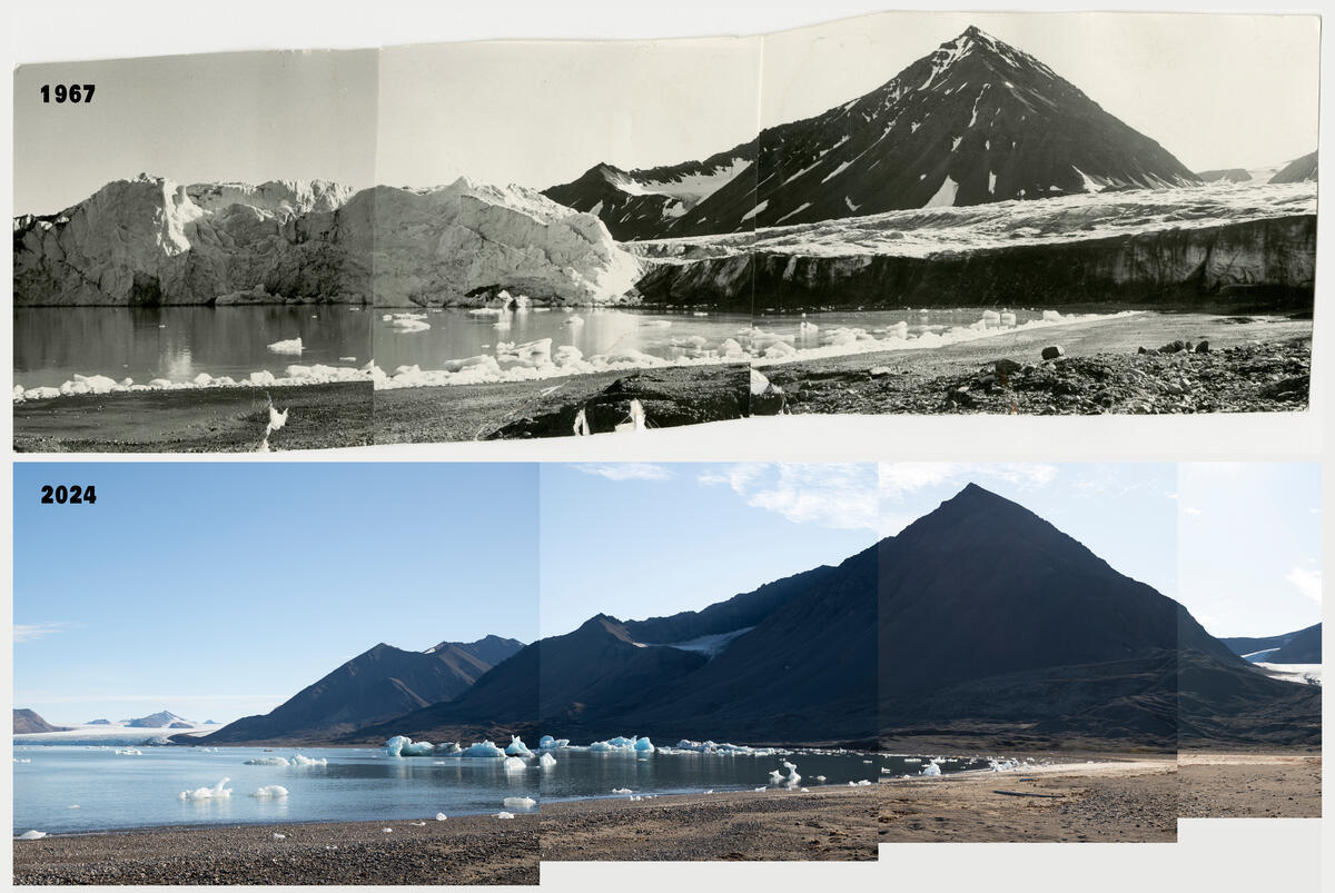 北極 Svalbard 地區 Kongsvegen 冰川、Pedersenbreen 冰川及 Nielsenfjellet 周遭山脈:1967 年與 2024 年 8 月 24 日的拼接全景照片對比圖。