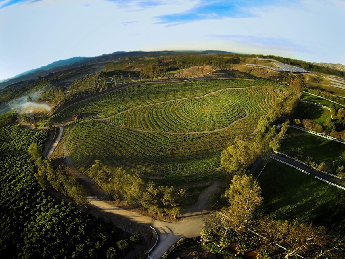 空拍「杏花巷農場」(Apricot Lane Farms),占地約200畝。