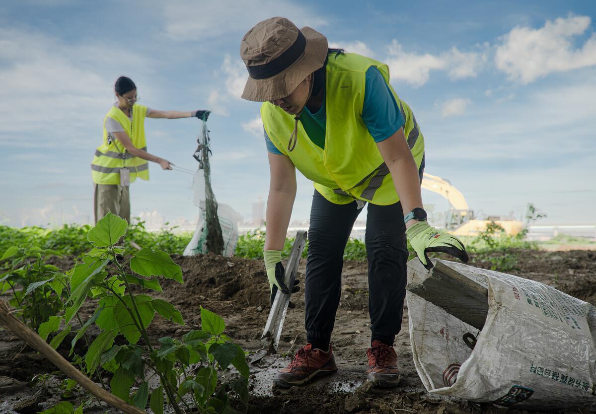 © Greenpeace / Universal Volunteer