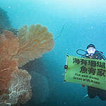 2025 年，綠色和平調查員在臺東三仙台白礁水下記錄一人高的大型海扇，表示海下生態狀況穩定。