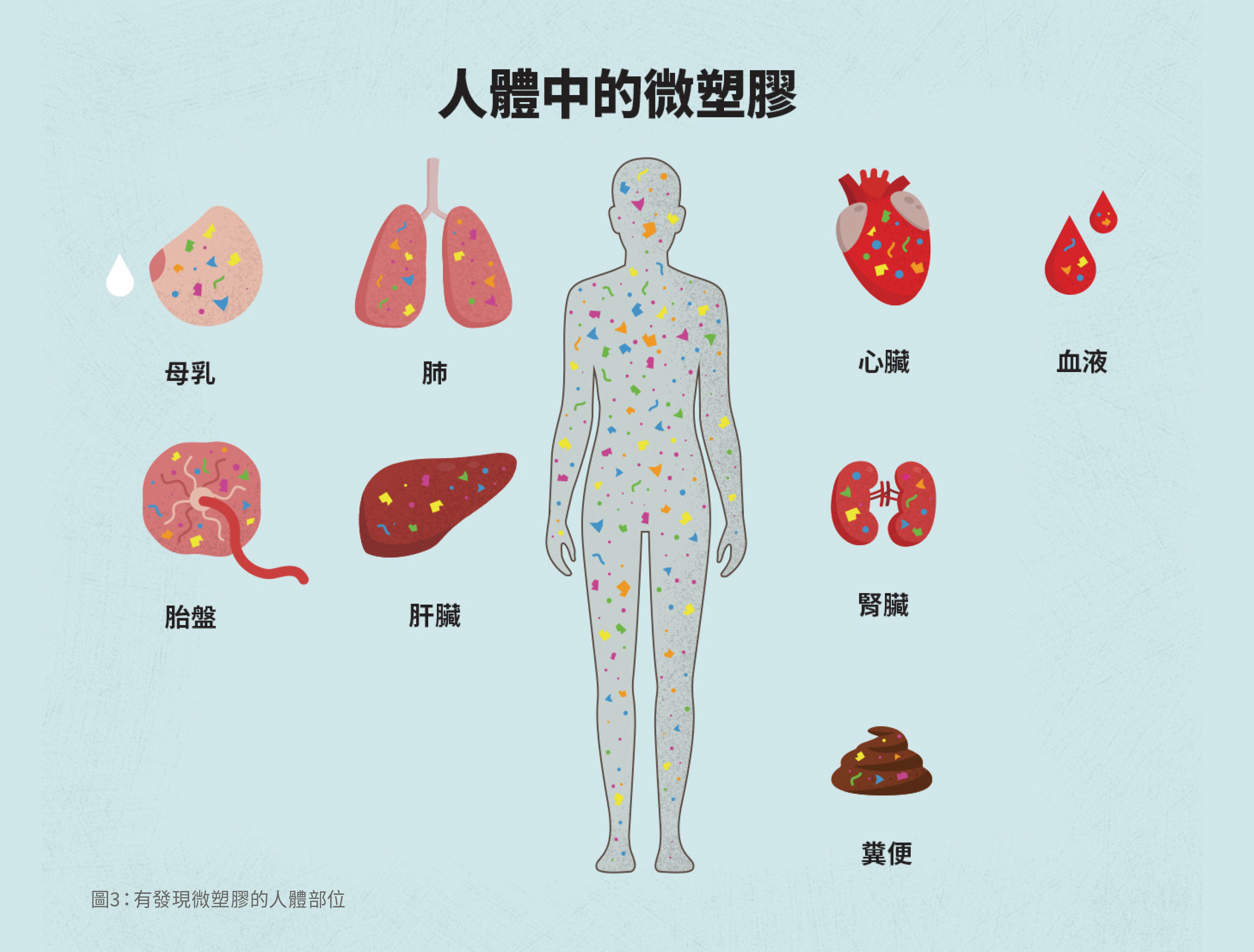 人體中的微塑膠。