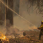 Record Wildfires and Worsening Drought Conditions in California. © David McNew / Greenpeace