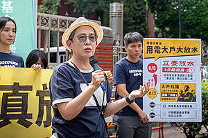 台灣再生能源推動聯盟秘書長 高茹萍表示：「政府切勿以促進經濟或緩解電網壓力為由鬆綁標準。若缺乏再生能源的明確指引，將導致企業重回高污染能源，犧牲居民健康與國家減碳承諾。」
