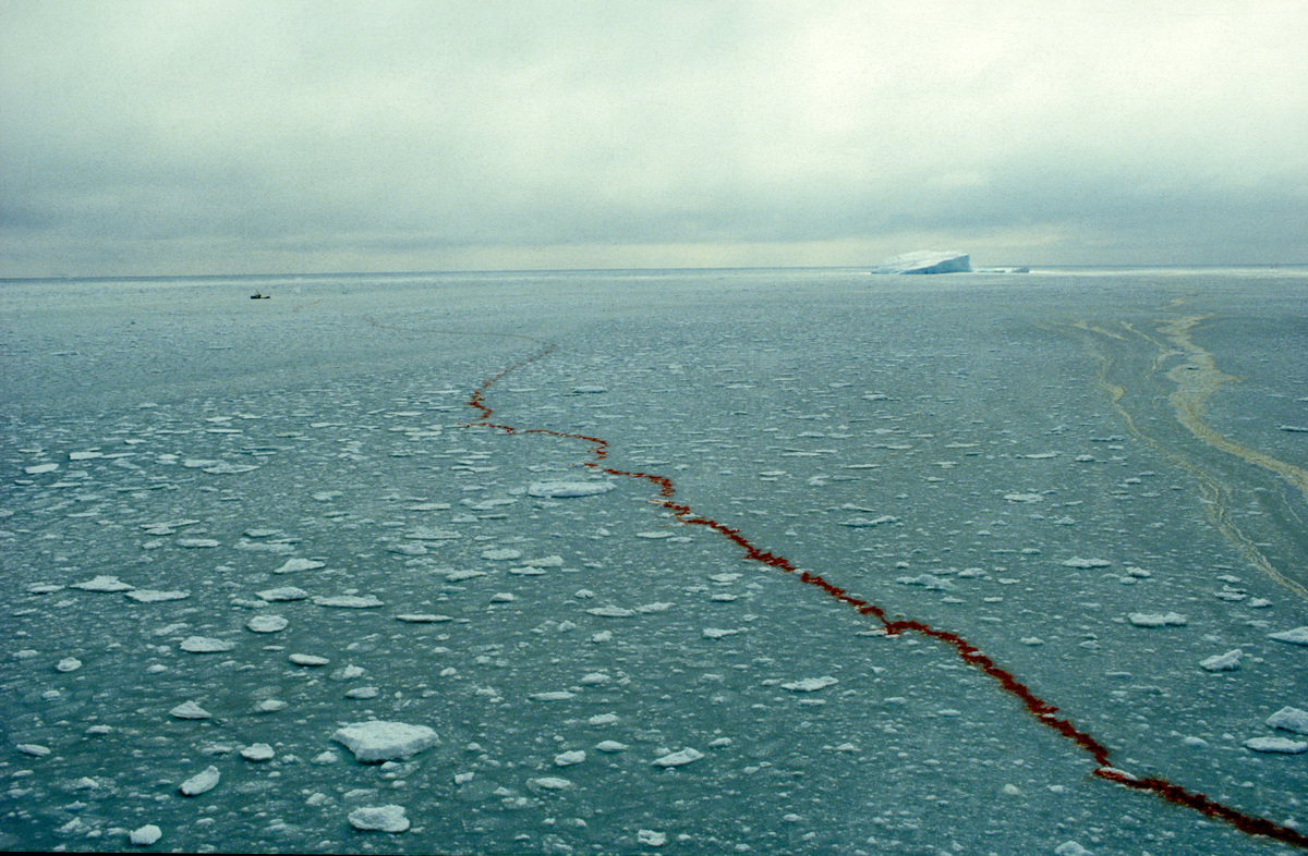 1981年,綠色和平啟動守護豎琴海豹(harp seal)專案,Pierre Gleizes跟隨團隊來到加拿大紐芬蘭省(Newfoundland),記錄了被獵殺的海豹遭拖行後,在皚皚雪地上留下觸目驚心的血痕。