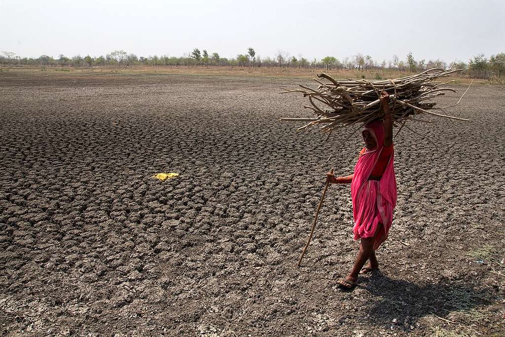 Drought in Maharashtra. © Subrata Biswas / Greenpeace