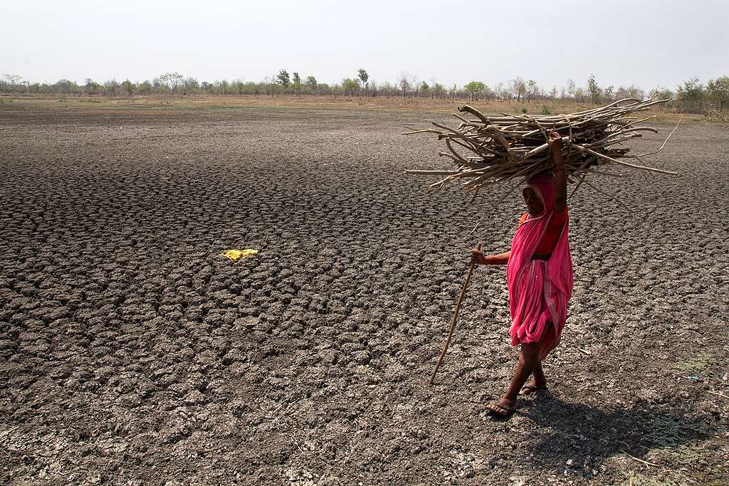 Drought in Maharashtra. © Subrata Biswas / Greenpeace Drought in Maharashtra. © Subrata Biswas / Greenpeace