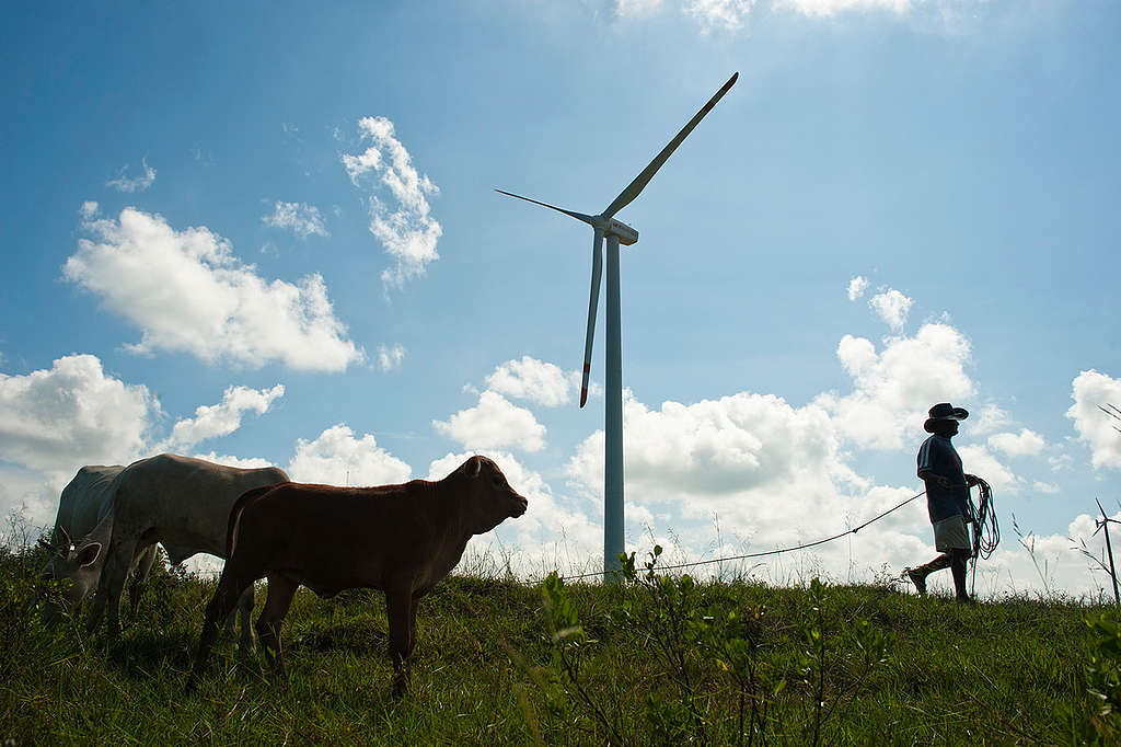 Wind Turbine in Nakhon Si Thammarat. © Jonas Gratzer / Greenpeace