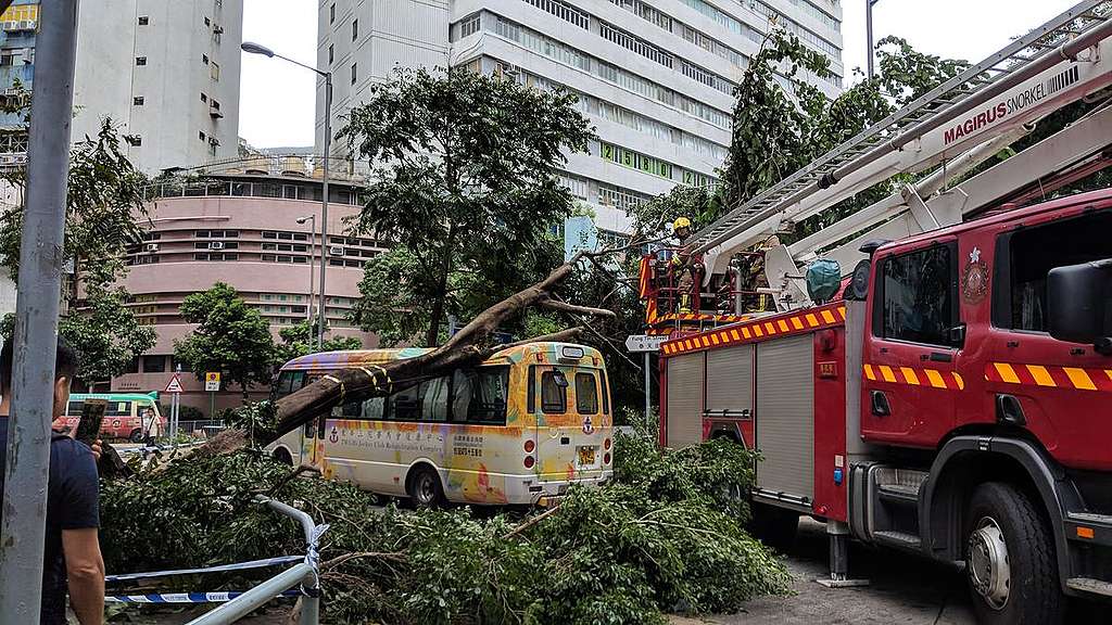 Typhoon Mangkhut impacts in Hong Kong. © Greenpeace