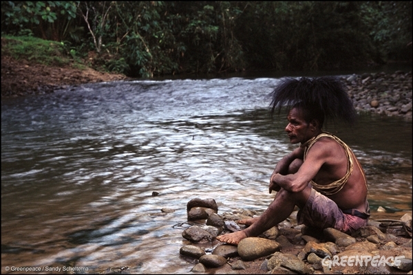Auwagi Sekapiya, of the Ubei Clan; Kosuo tribe in Papua New Guinea, 2003 Auwagi Sekapiya, of the Ubei Clan; Kosuo tribe in Papua New Guinea, 2003