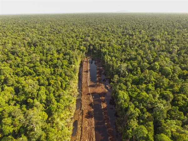 Drone View