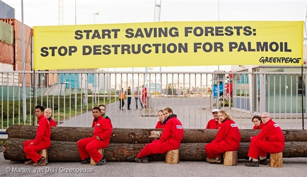 Greenpeace activists close off access for all imports and exports from palm oil trader IOI in the harbour of Rotterdam, palm oil’s gateway into Europe. Greenpeace activists close off access for all imports and exports from palm oil trader IOI in the harbour of Rotterdam, palm oil’s gateway into Europe.