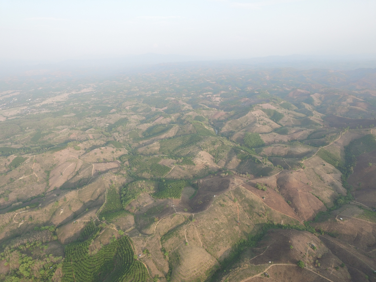 El Niño Impacts Documentation In Northern Thailand. © Greenpeace