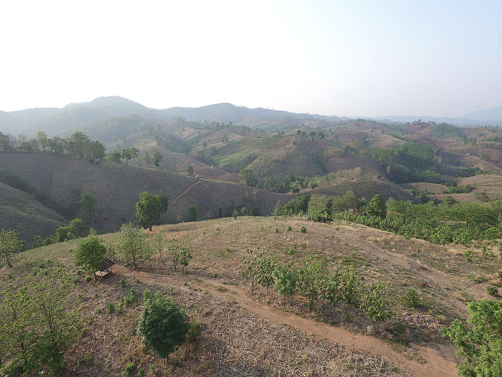 El Niño Impacts Documentation In Northern Thailand. © Greenpeace