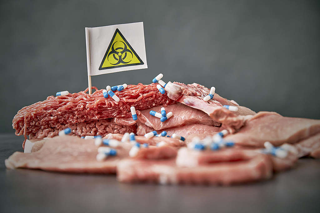 ภาพเปรียบเทียบถึงเนื้อหมู 36% ที่วางจำหน่ายในซูเปอร์มาร์เก็ตออสเตรียมีการปนเปื้อนด้วยเชื้อโรคดื้อยาปฏิชีวนะซึ่งมีความเสี่ยงต่อสุขภาพของมนุษย์อย่างมาก