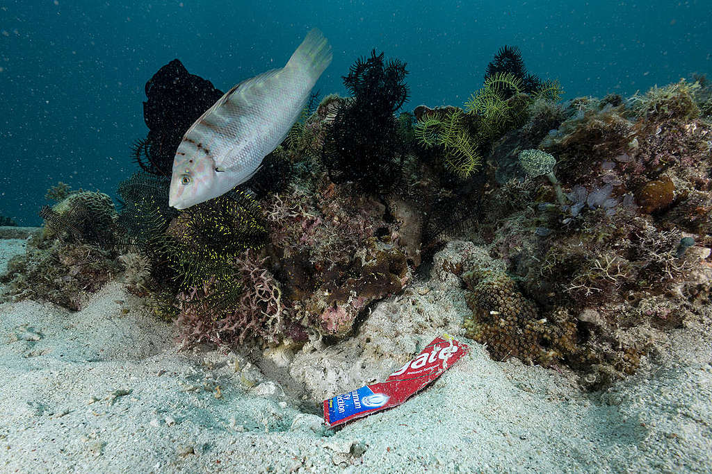 Plastic Waste in Verde Island, Philippines. © Noel Guevara / Greenpeace