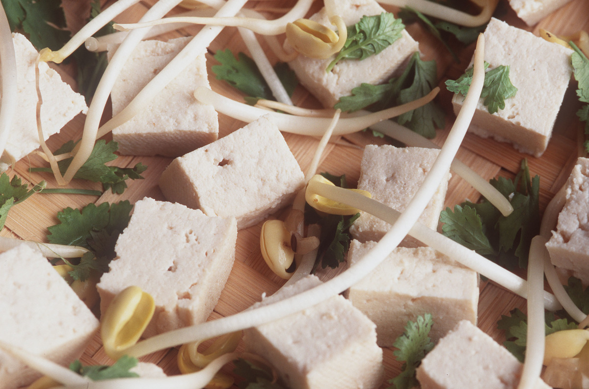 Tofu and Soy Sprouts. © Greenpeace / Fred Dott