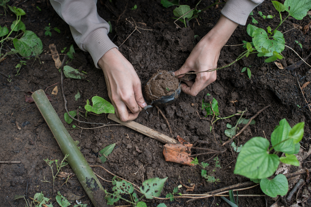 Volunteers Join Forces at Reforestation Activity in the North of Thailand. © Greenpeace / Vincenzo Floramo