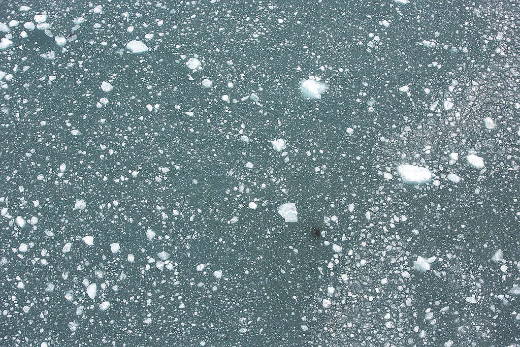 Sea Ice in Svalbard. © Will Rose / Greenpeace