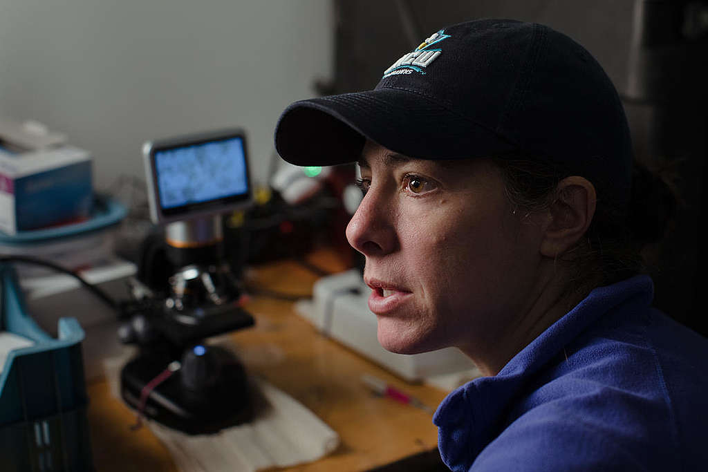 Scientist on MY Arctic Sunrise in the Arctic. © Denis Sinyakov / Greenpeace