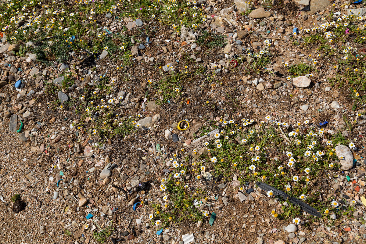 Revisiting Beaches after Clean-up in Greece. © Constantinos Stathias / Greenpeace