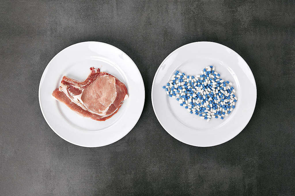 Antibiotic Resistent Germs in Pork Meat in Austria. © Mitja Kobal / Greenpeace