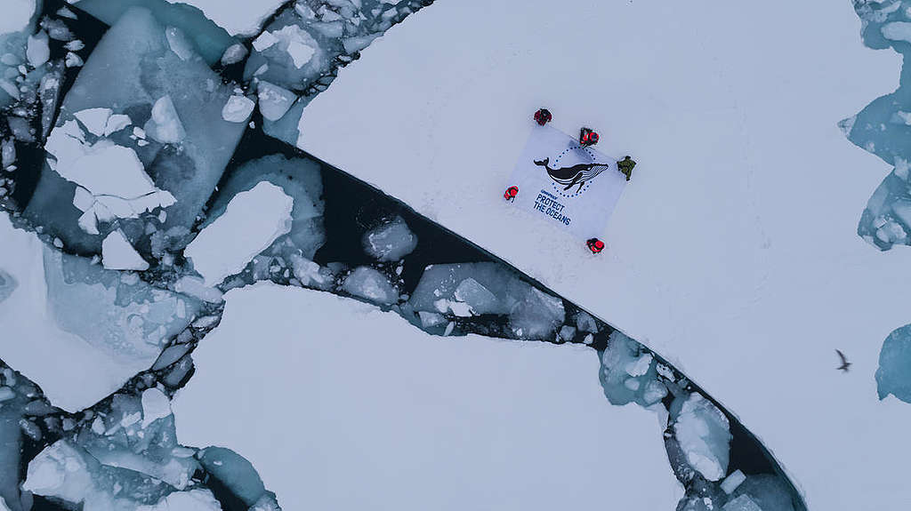 Protect the Oceans Banner in the Arctic. © Christian Åslund / Greenpeace