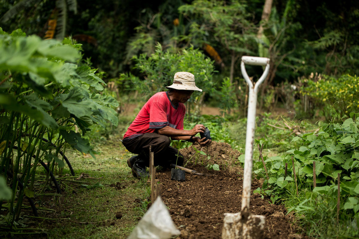 Farmer in an Ecological Farm at IIRR in Cavite Province, Philippines. © Geric Cruz / Greenpeace