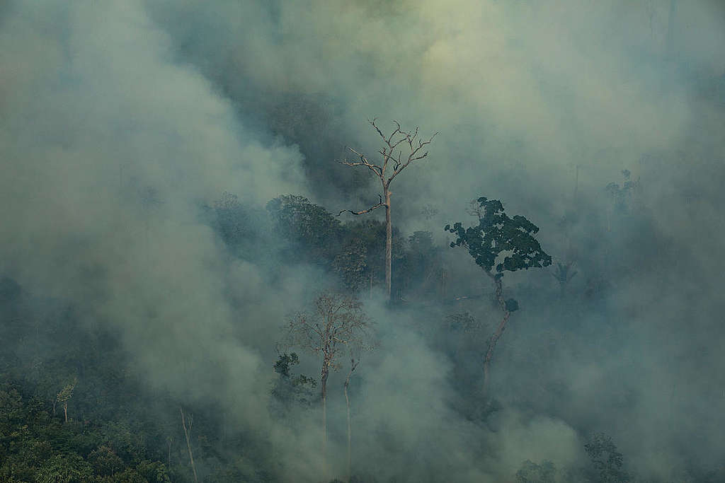 Forest Fires in the Amazon - Third Overflight (2019). © Victor Moriyama / Greenpeace