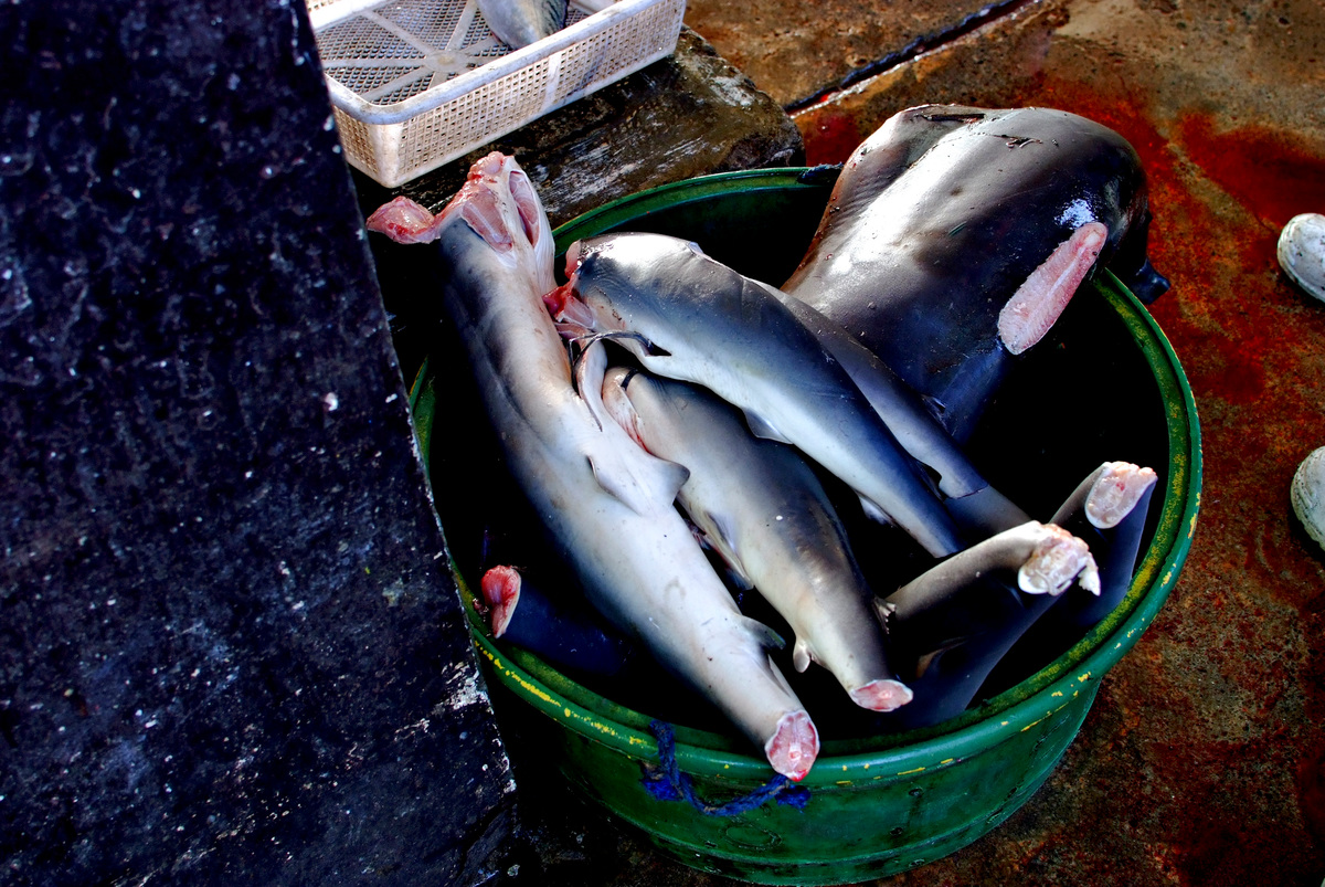 Fishing Port in the Philippines. © Veejay Villafranca / Greenpeace