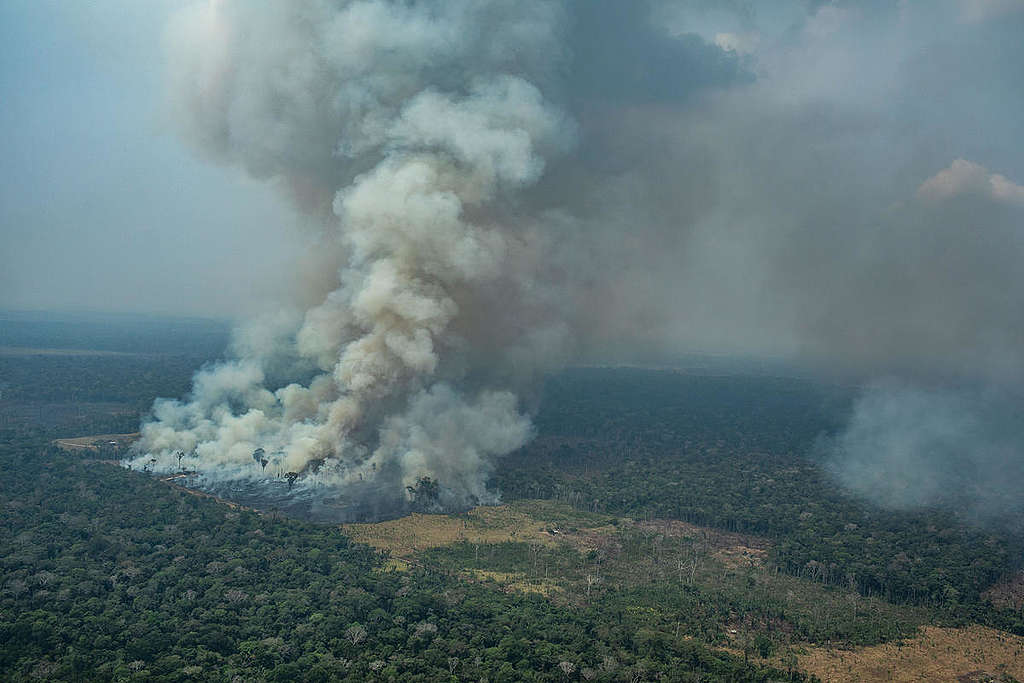 Forest Fires in Candeiras do Jamari, Amazon - Second Overflight (2019). © Victor Moriyama / Greenpeace