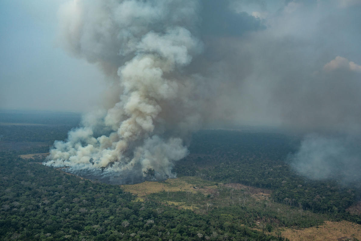 Forest Fires in Candeiras do Jamari, Amazon - Second Overflight (2019). © Victor Moriyama / Greenpeace