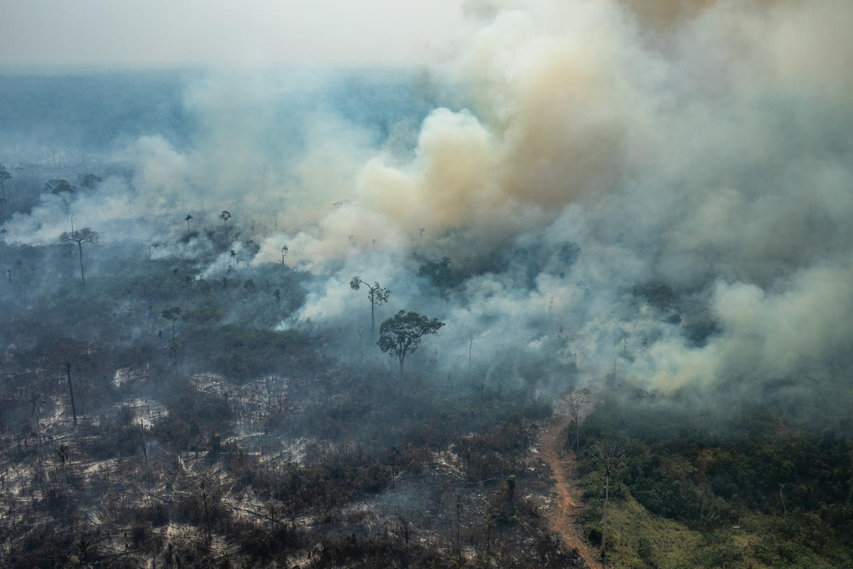 Forest Fires in the Amazon - Third Overflight (2019). © Victor Moriyama / Greenpeace