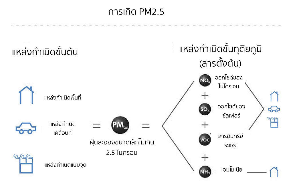 PM25 system