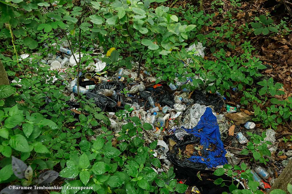 Garbage in Suthep mountain