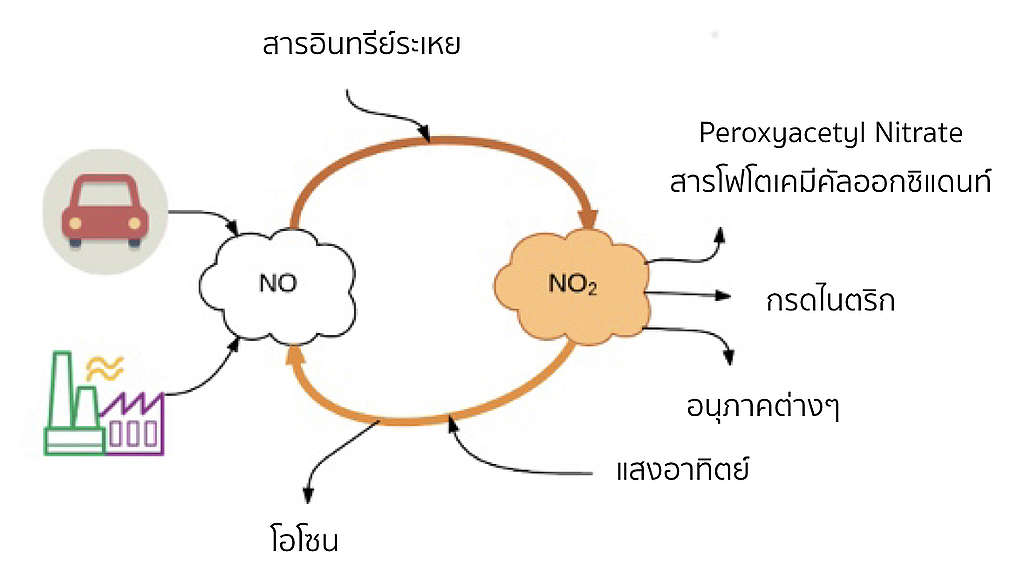life cycle NO2 life cycle NO2