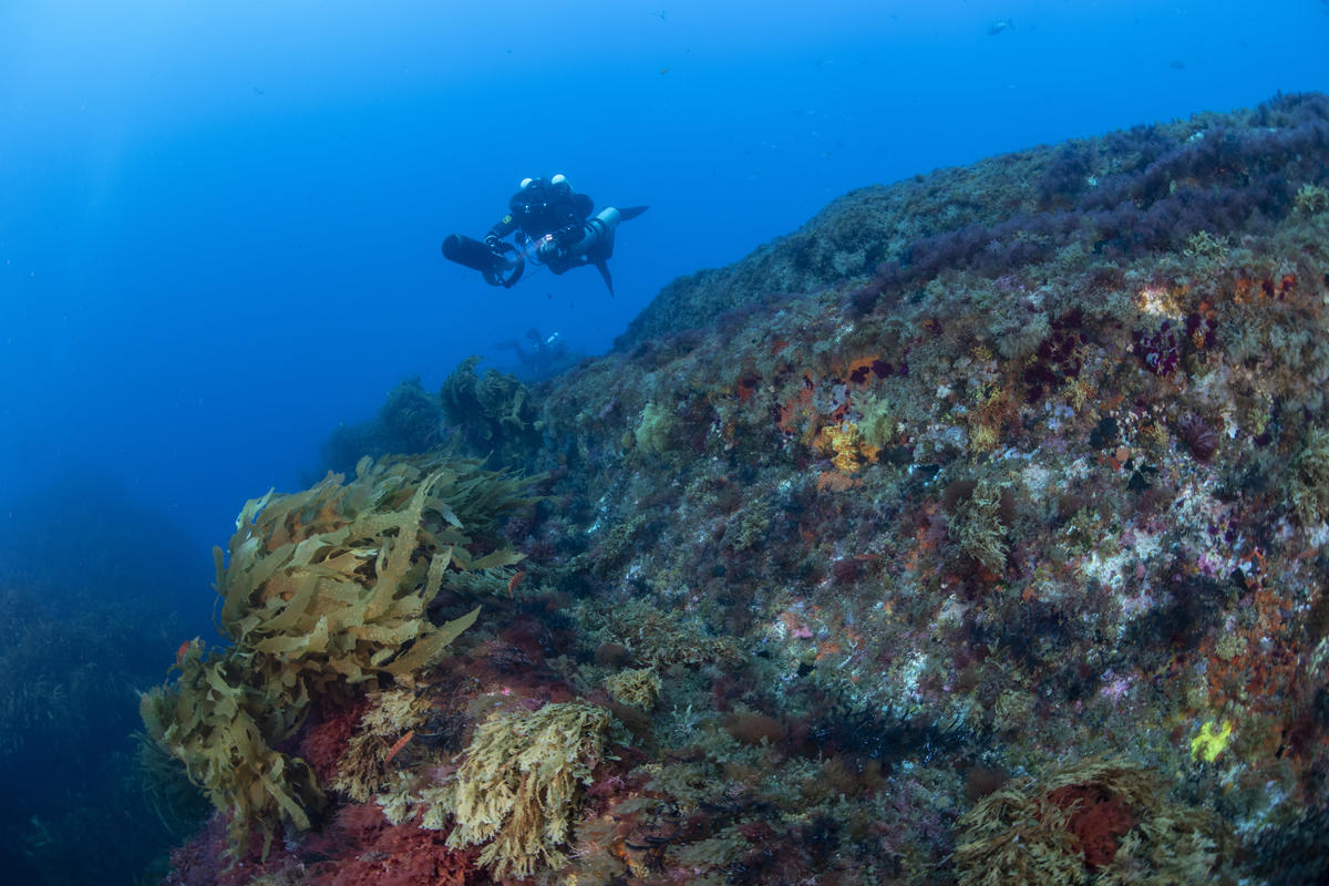 Diving Operation at Vema Seamount. © Richard Barnden / Greenpeace Diving Operation at Vema Seamount. © Richard Barnden / Greenpeace