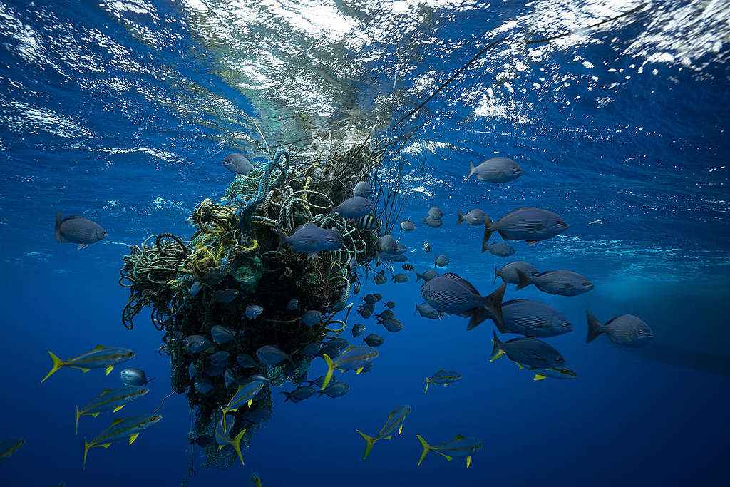 Ghost Fishing Nets in the Great Pacific Garbage Patch. © Justin Hofman / Greenpeace