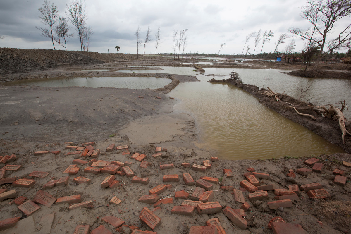 Sea Level Rise in India. © Greenpeace / Peter Caton