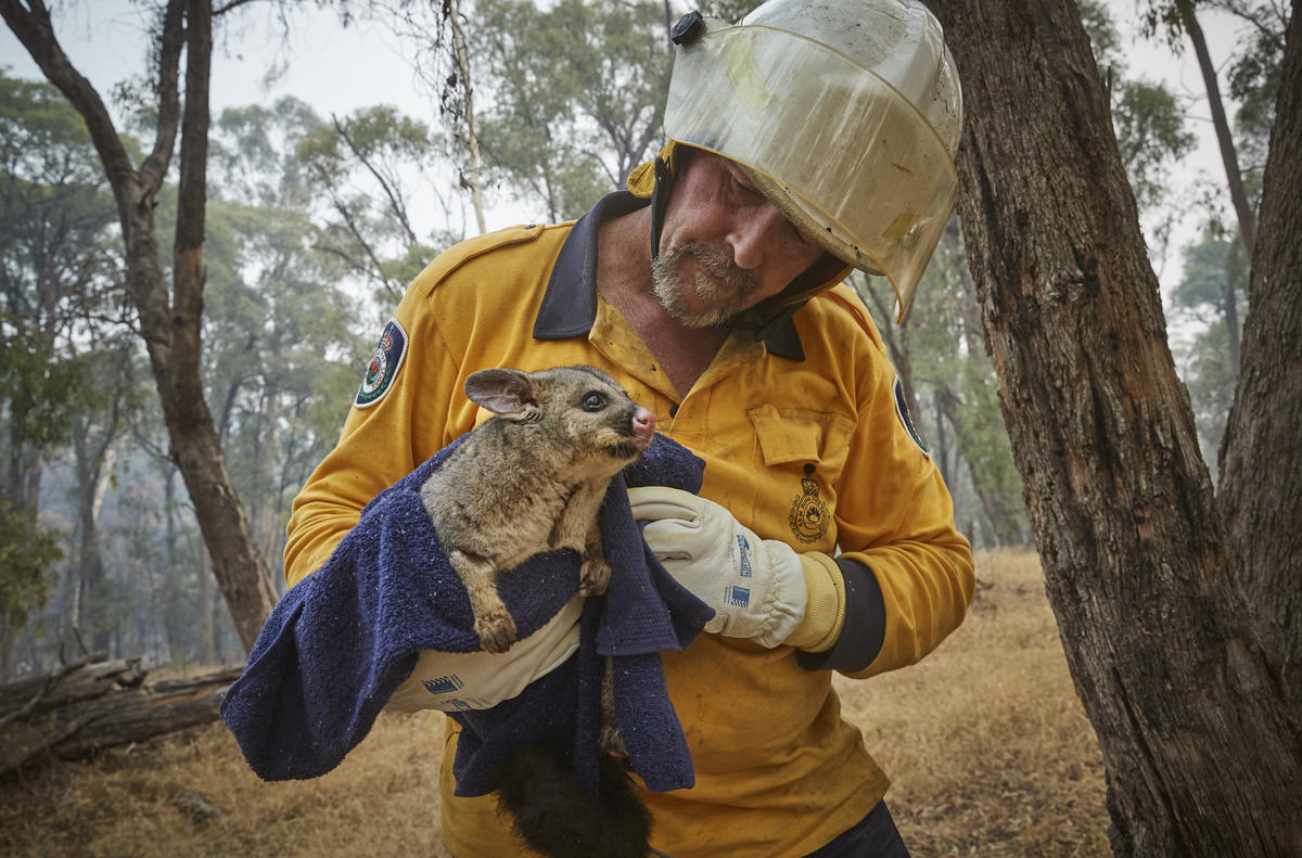 Bushfire in Snowy Mountains, Australia. © Kiran Ridley / Greenpeace Bushfire in Snowy Mountains, Australia. © Kiran Ridley / Greenpeace