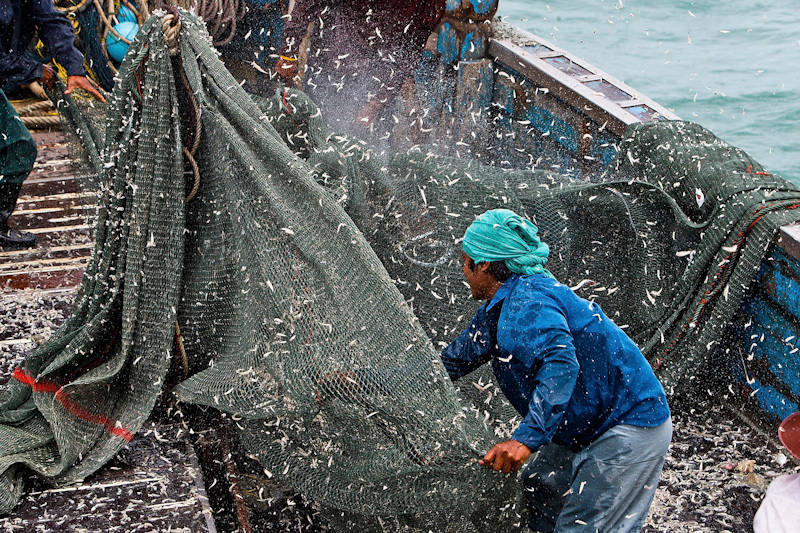 Destructive Fishing Methods in the Gulf of Thailand. © Athit Perawongmetha / Greenpeace