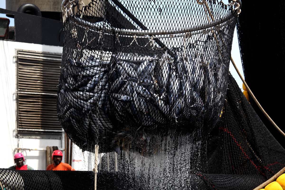 Purse Seiner Fishing in the Indian Ocean. © Jiri Rezac / Greenpeace