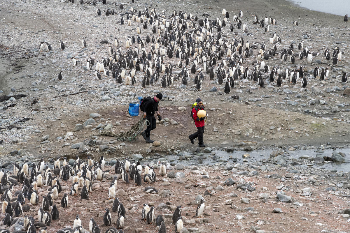 Fishing Gear Clean Up On Snow Island. © Christian Åslund / Greenpeace