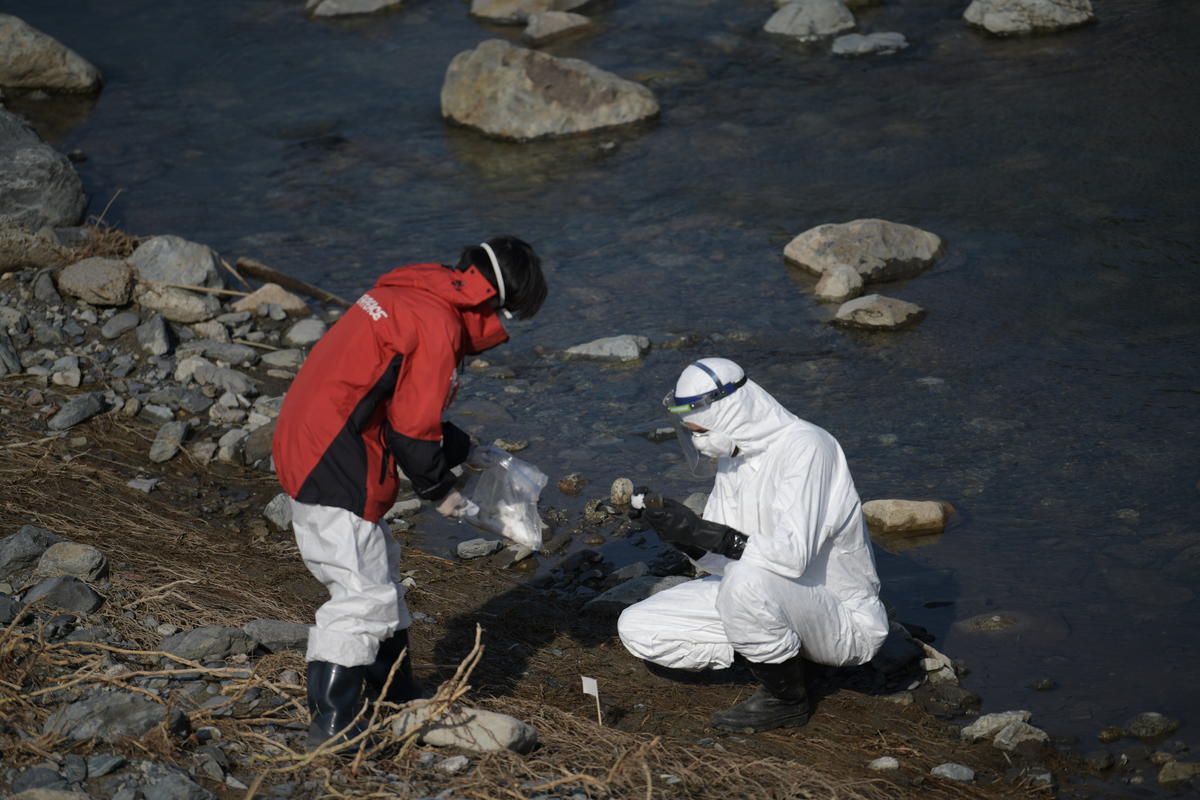 Nuclear Radiation Survey in Fukushima. © Shaun Burnie / Greenpeace