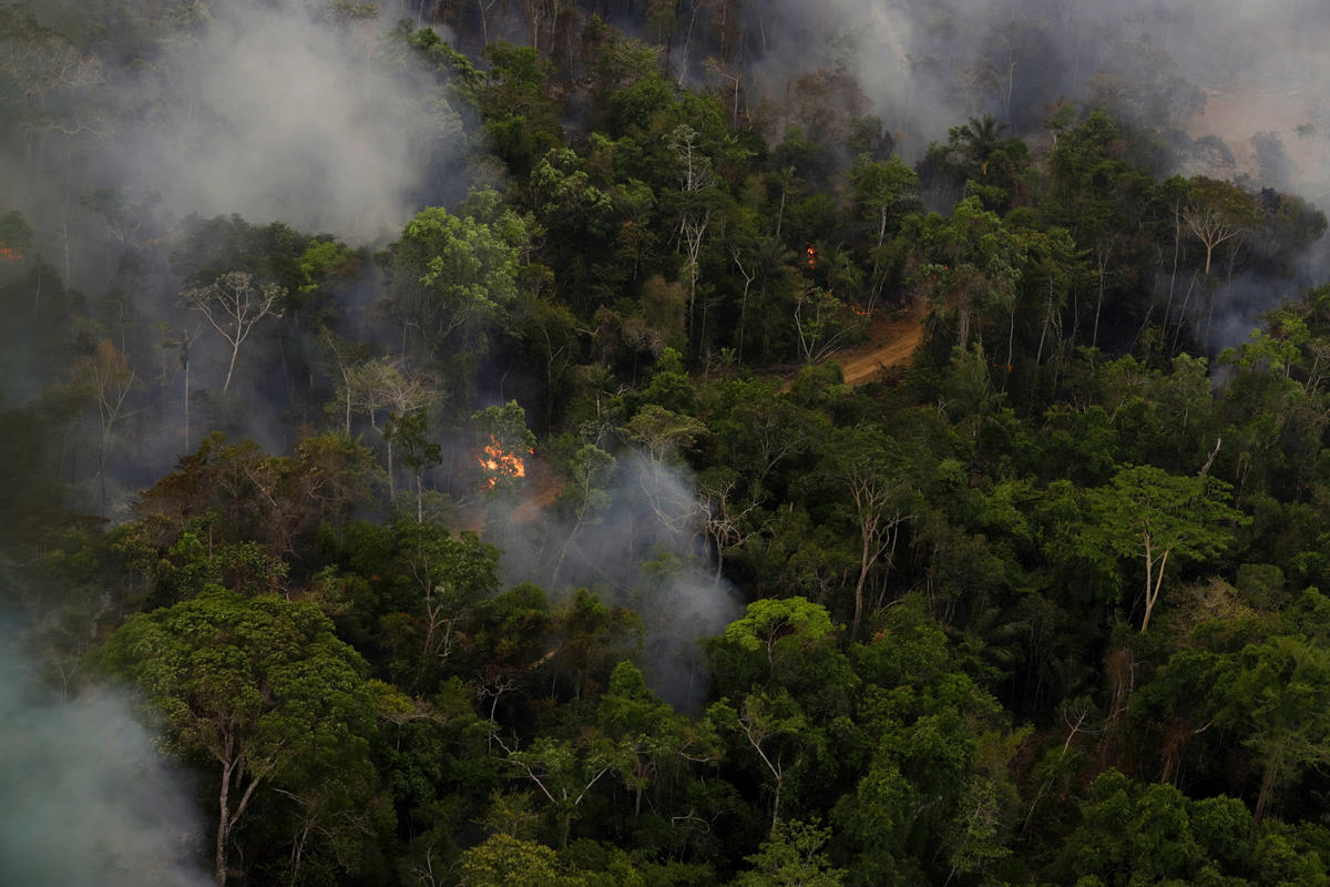 Forest Fires in the Amazon. © Chico Batata / Greenpeace Forest Fires in the Amazon. © Chico Batata / Greenpeace