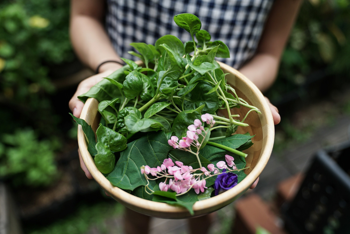 Vegetables in the Backyard in Bangkok. © Wanweaw Hongvivatana / Greenpeace