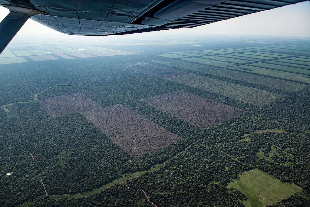 Deforestation for Farming and Agriculture in Chaco Province, Argentina. © Martin Katz / Greenpeace Deforestation for Farming and Agriculture in Chaco Province, Argentina. © Martin Katz / Greenpeace