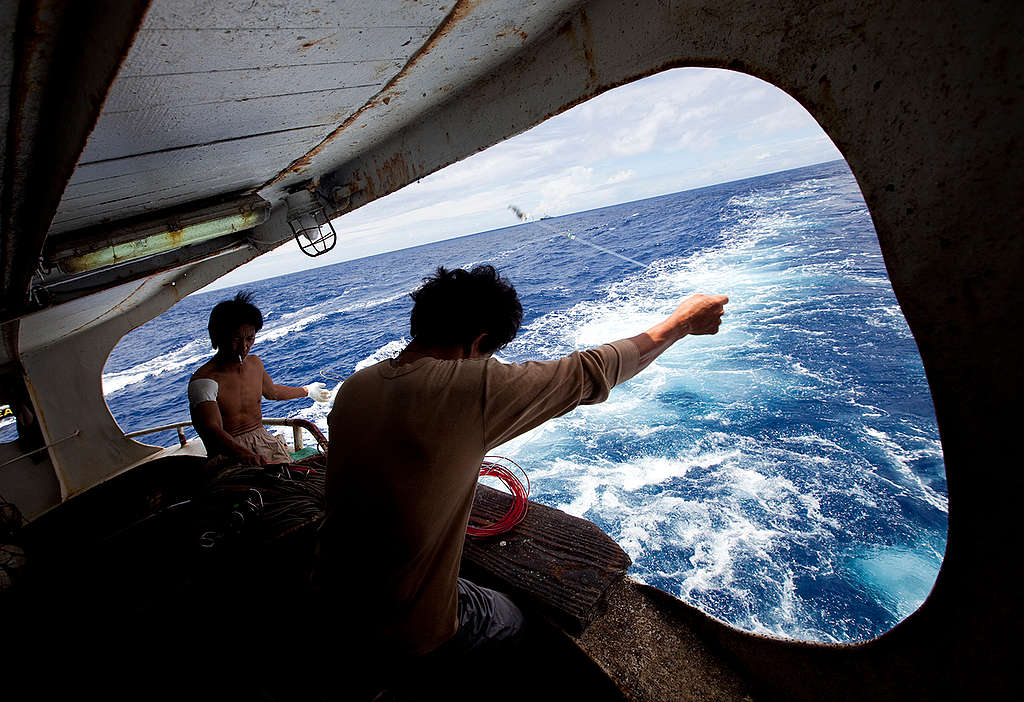 Taiwanese Fishermen in the Pacific Ocean. © Greenpeace / Paul Hilton Taiwanese Fishermen in the Pacific Ocean. © Greenpeace / Paul Hilton