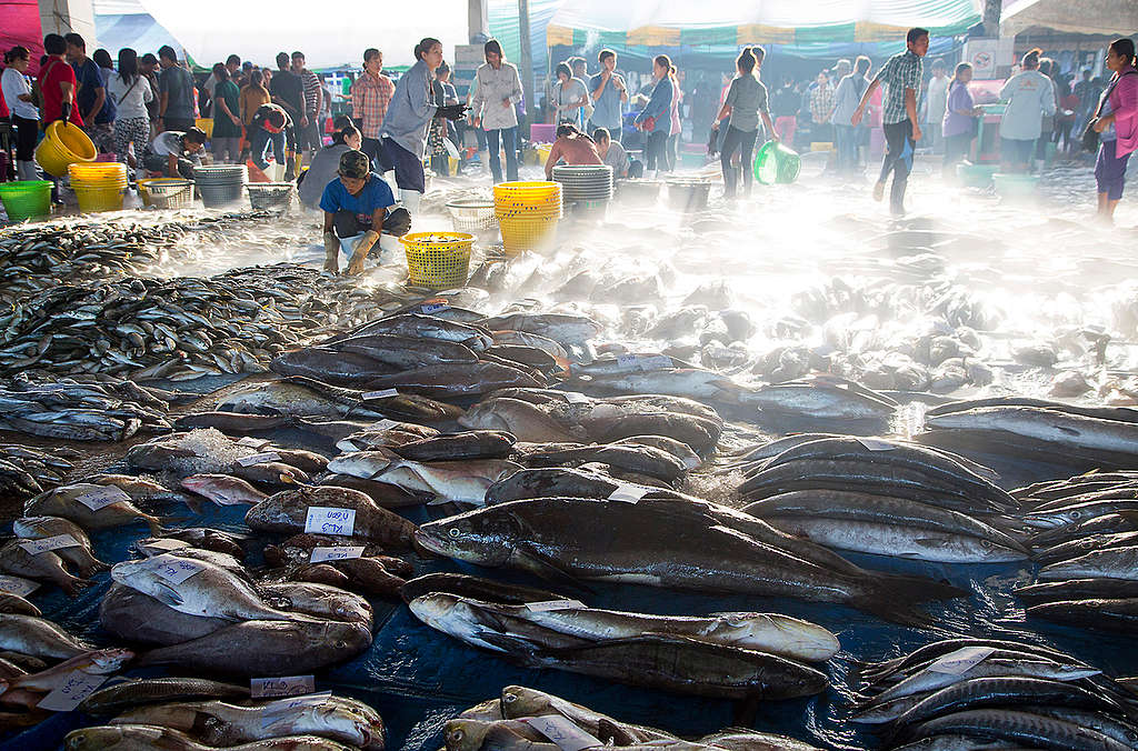 Burmese Workers at Fishing Port in Thailand. © Chanklang  Kanthong / Greenpeace