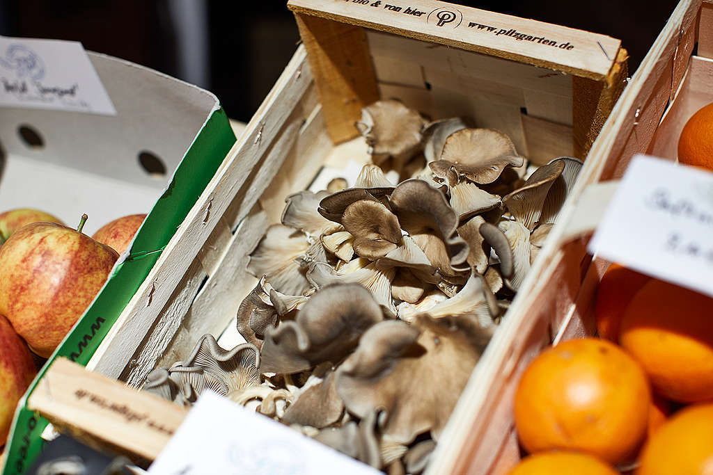 Unpacked Grocery Store in Hamburg. © Dennis Reher / Greenpeace