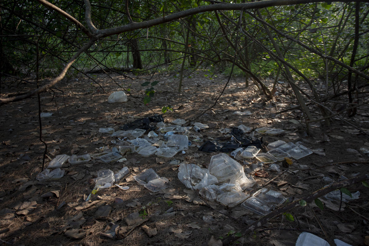 Plastic Brand Audit in Songkhla. © Chanklang  Kanthong / Greenpeace